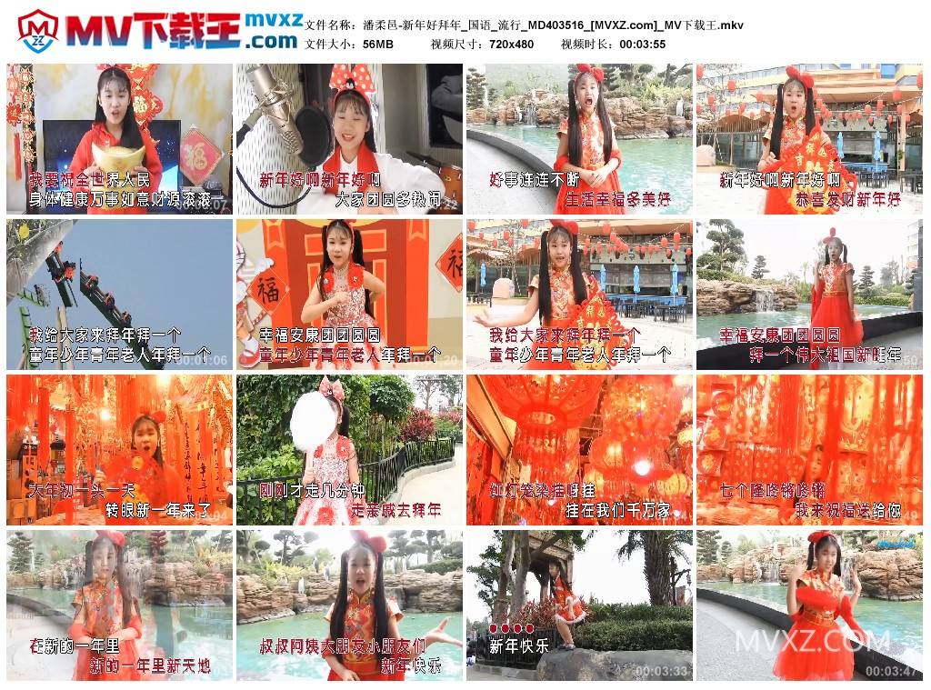 潘柔邑-新年好拜年_国语_流行_MD403516